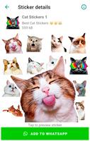 Cute Cat Stickers for WhatsApp 海报
