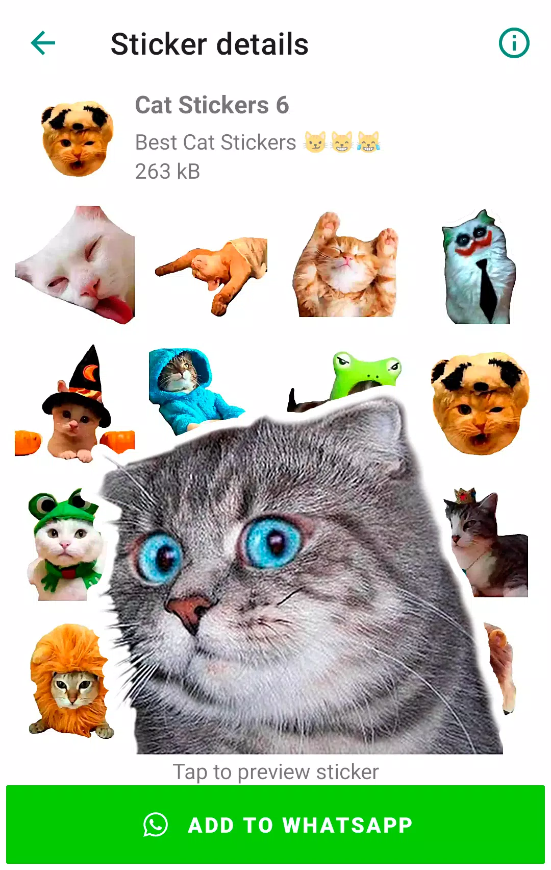 Cat Kot Sticker for iOS & Android