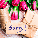 Sorry stickers for WhatsApp APK