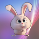 WASticker Bunny stickers icon