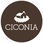 Ciconia icono
