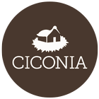 Ciconia 아이콘