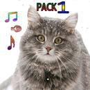 Cat Ringtones Vol1 APK