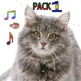 Icona Cat Ringtones Vol1