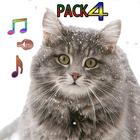 Cat Ringtones Vol4 আইকন