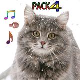 Cat Ringtones Vol4 ikon