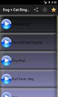 Dog and Cat Ringtones Vol2 โปสเตอร์