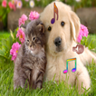 Dog and Cat Calling Ringtones