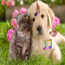 Dog and Cat Calling Ringtones APK