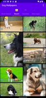 Dogi Wallpaper Backgrounds পোস্টার