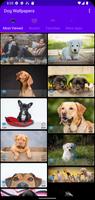 Dogi Wallpaper Backgrounds স্ক্রিনশট 3