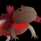 Axolotl Wallpapers-icoon