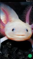 Axolotl Wallpapers capture d'écran 2