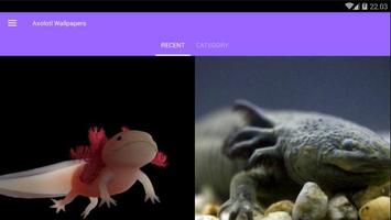 Axolotl Wallpapers capture d'écran 3