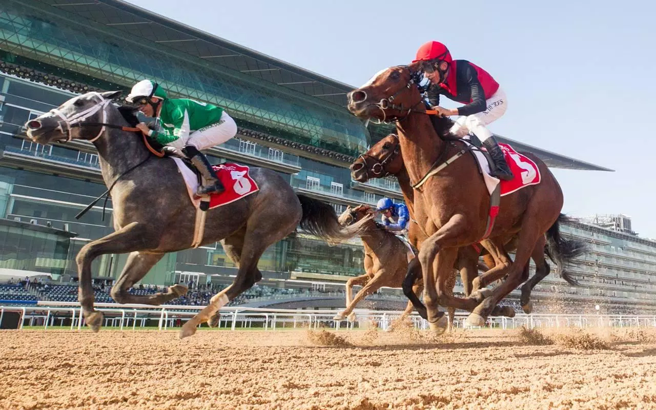 下載horse Racing Wallpaper的安卓版本