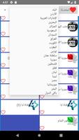 chaînes  arabes capture d'écran 2