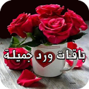 باقات ورد جميلة APK
