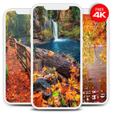 ikon Autumn Wallpapers & Backgrounds