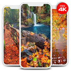 Autumn Wallpapers & Backgrounds icono