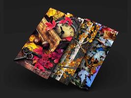 Autumn Wallpapers & Backgrounds تصوير الشاشة 3