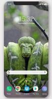 Snake Wallpapers & Backgrounds syot layar 2