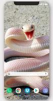 3 Schermata Snake Wallpapers & Backgrounds