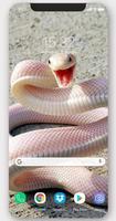 Snake Wallpapers & Backgrounds capture d'écran 3