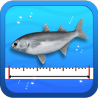 Icona Fishing Ruler