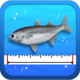 Fishing Ruler icône