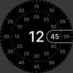Descargar XAPK de Concentric - Pixel Watch Face