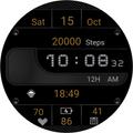 TSD41 Digital Watch Face