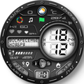 V DigitalProMax