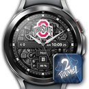 OHIO STATE BUCKEYES GAMEDAY WA APK