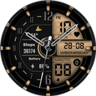 VVA213 Hybrid  Watch face أيقونة