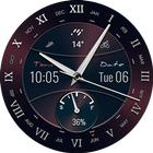 VVA24 Hybrid Watchface أيقونة