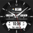 WFP 160 Hybrid watch face APK