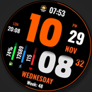 WFP 219 Stylish watch face APK