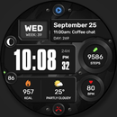 WFP 245 Digital watch face APK