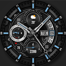 WFP 300 Tomcat PRO APK