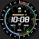 WFP 321 Digital Watch Face APK
