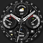 WFP 338 Classic watch face Zeichen