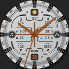 WFP 343 Fresh watch face icon