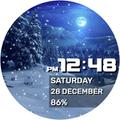 Winter Night