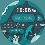 ZK Alien Ocean For Wear OS