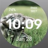 WatchFace Animals - Kitten