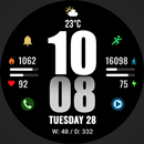 WFP 244 Sports watch face APK