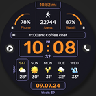 WFP 341 Informer watch face آئیکن