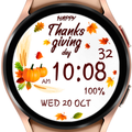 AZ206 Thanksgiving Day Watch