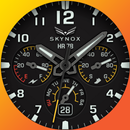 Ballozi SKYNOX Analog APK