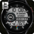 BEE LCD 5 Watchface